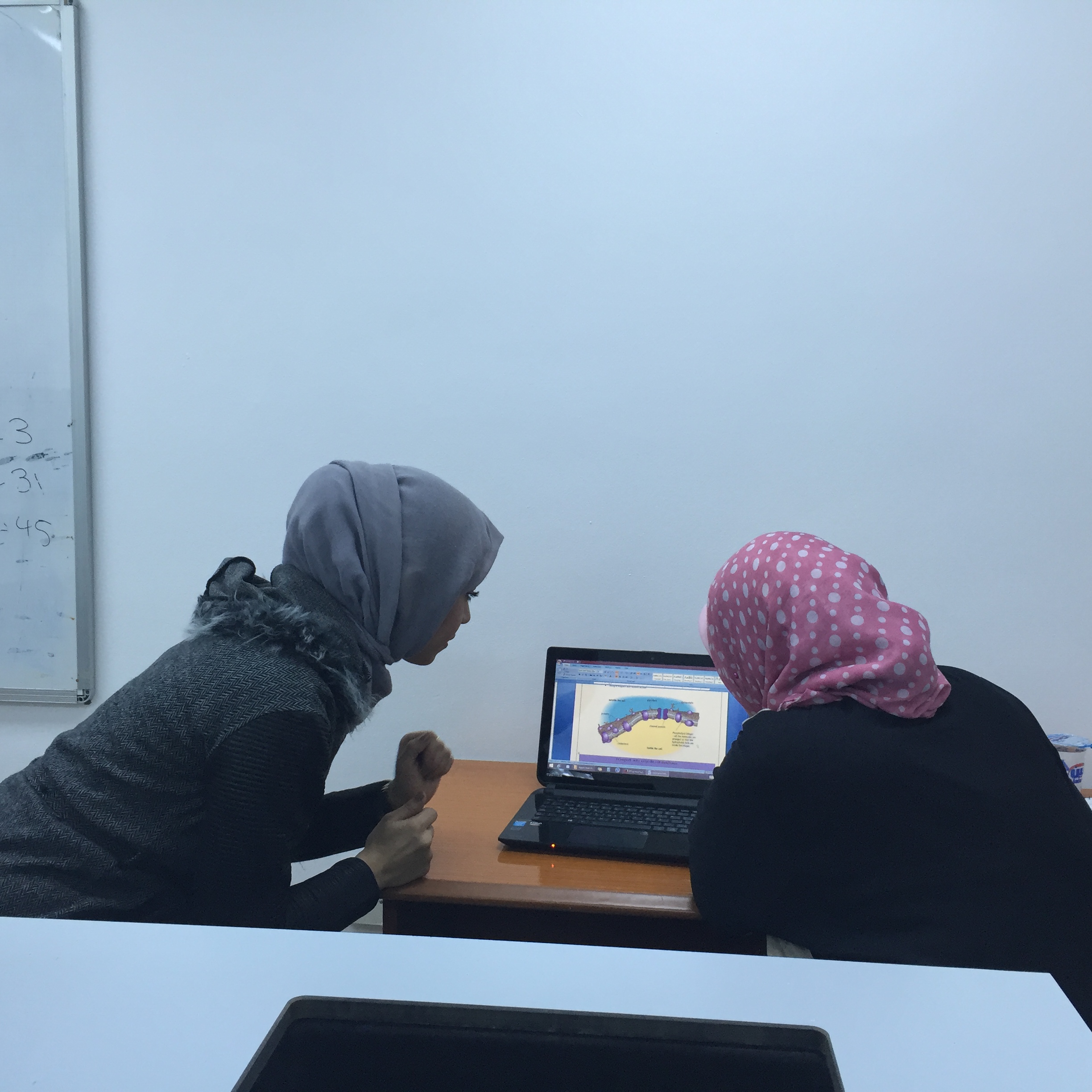 Report Discussion