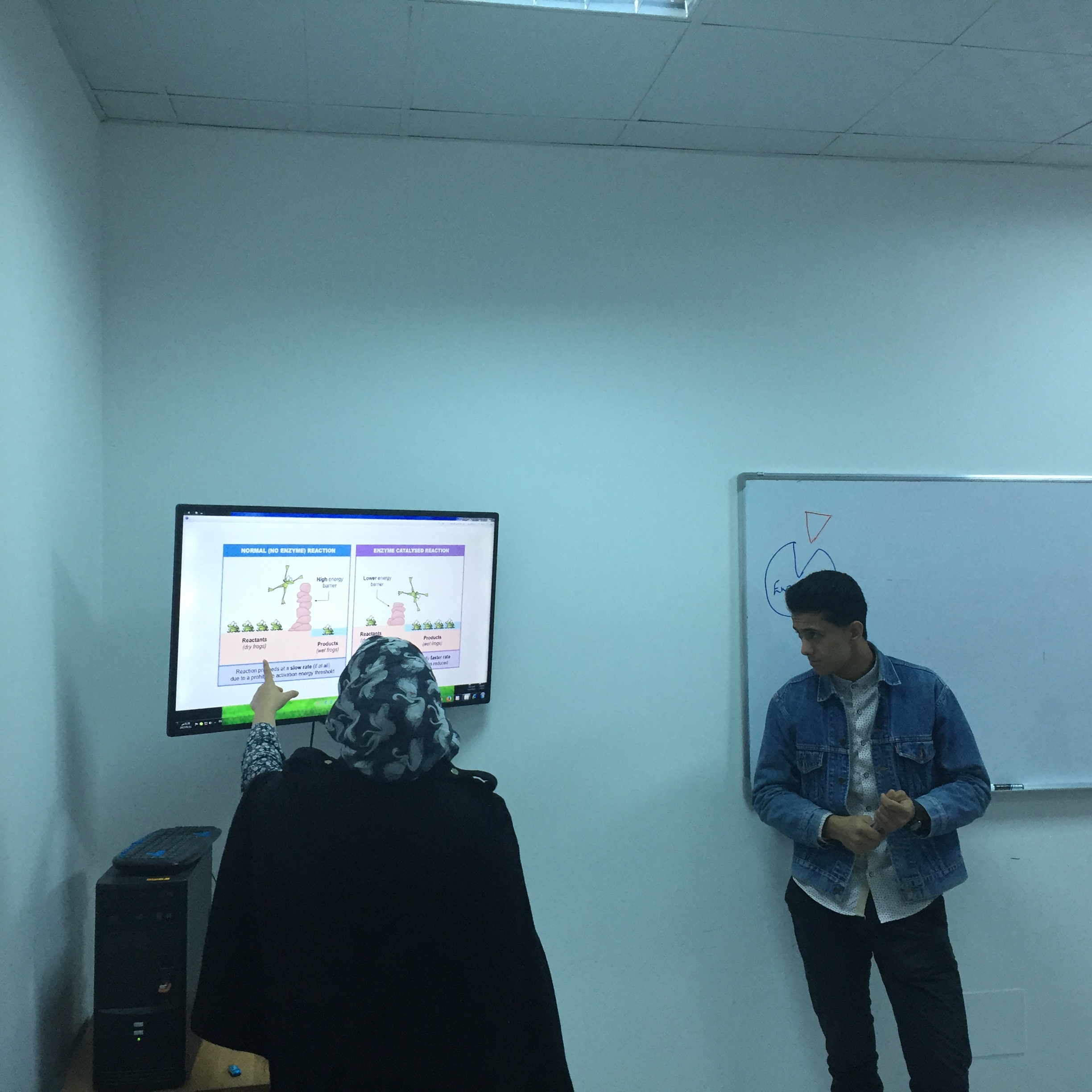 Debriefing Sessions