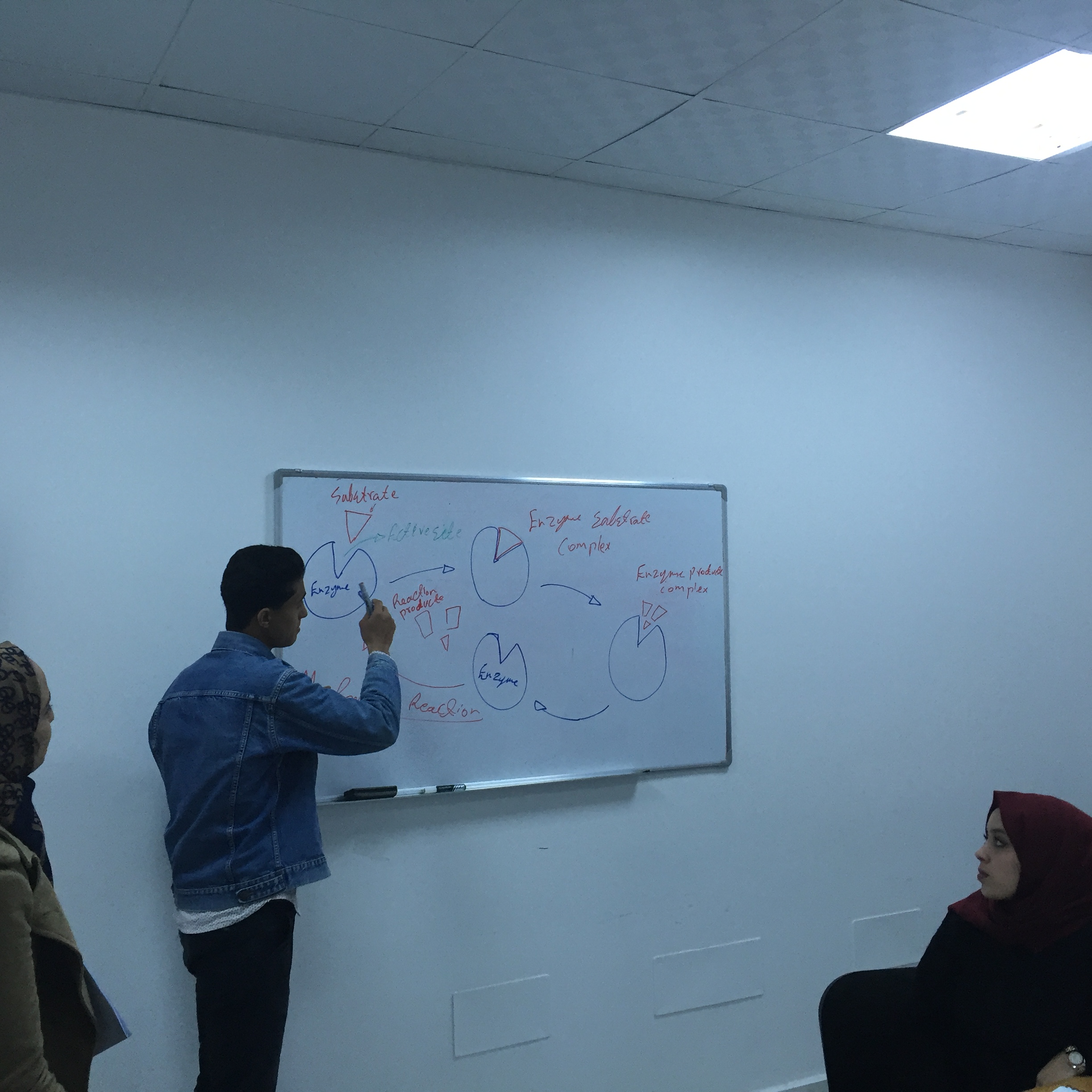 Debriefing Sessions